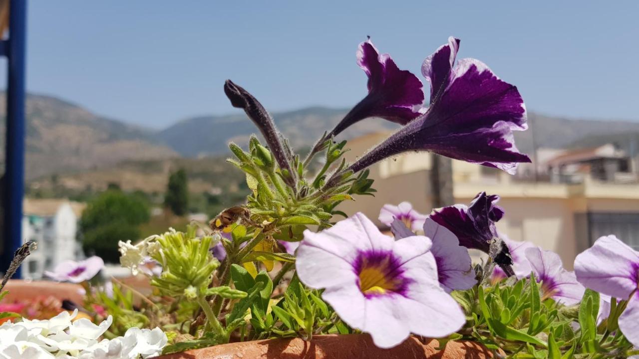 Posada Alpujarra Sol Orgiva Exterior foto